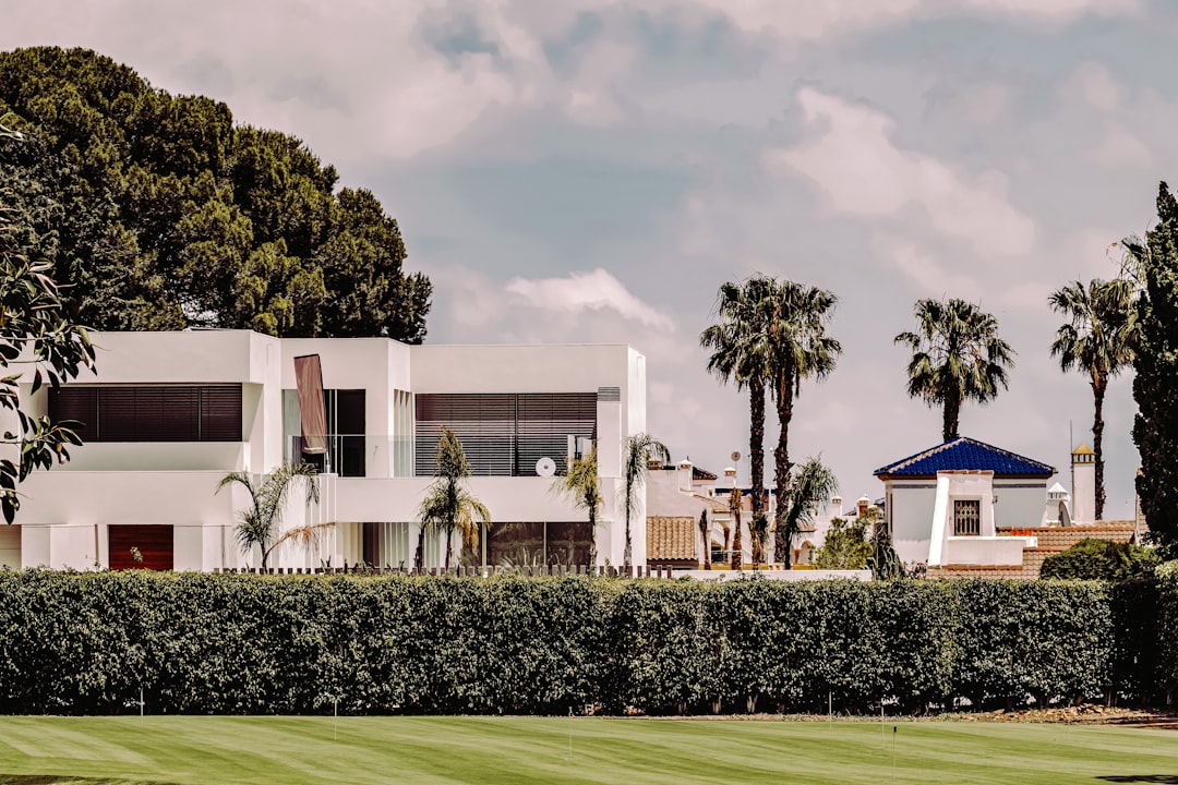Mediterranean villa with palm trees on the Costa del Sol — selling property in Spain as a British owner