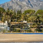 Beachfront resort with palm trees and mountains on the Costa del Sol, Spain, representing life as a British resident