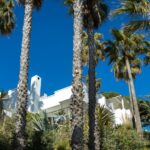 White Mediterranean villa with palm trees on the Costa del Sol - checking the nota simple before buying property in Spain
